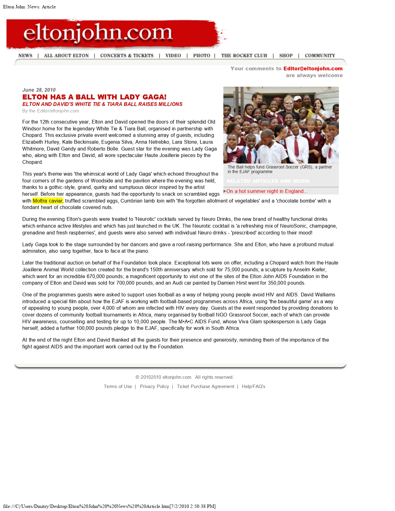 ELTON AND DAVID'S WHITE TIE & TIARA BALL