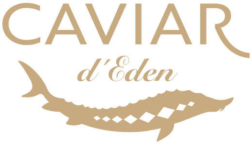 Caviar-Logo